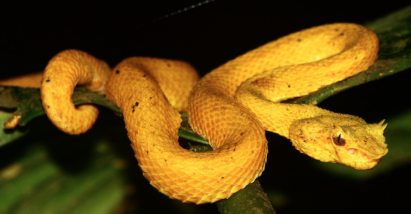 screen-shot-2016-11-10-at-5-58-04-pm