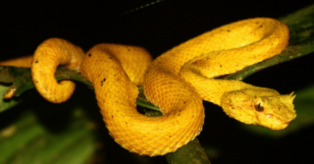 screen-shot-2016-11-10-at-5-58-04-pm