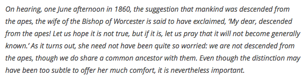 screen-shot-2016-11-17-at-3-04-36-pm