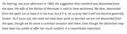 screen-shot-2016-11-17-at-3-04-36-pm