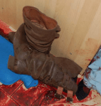 screen-shot-2016-12-13-at-2-05-42-pm