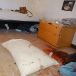 screen-shot-2016-12-13-at-2-11-33-pm